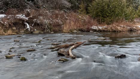 water flowing past logs and river rocks, scenic landscape timelapse