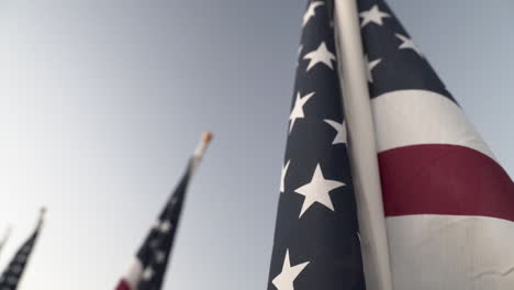 close up nine eleven celebration with many flags in a park with flapping in front of camera