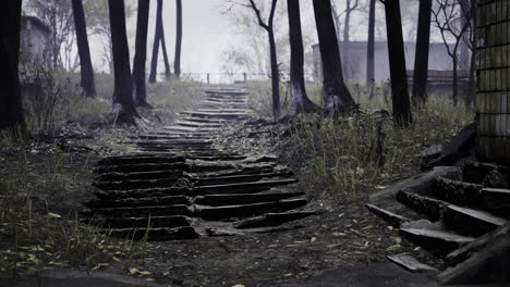 worn wooden steps lead through a forest clearing under a gray sky