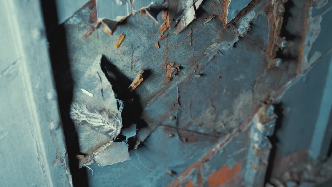 미셀리움은 나무 보트 내부에 퍼져 있습니다.