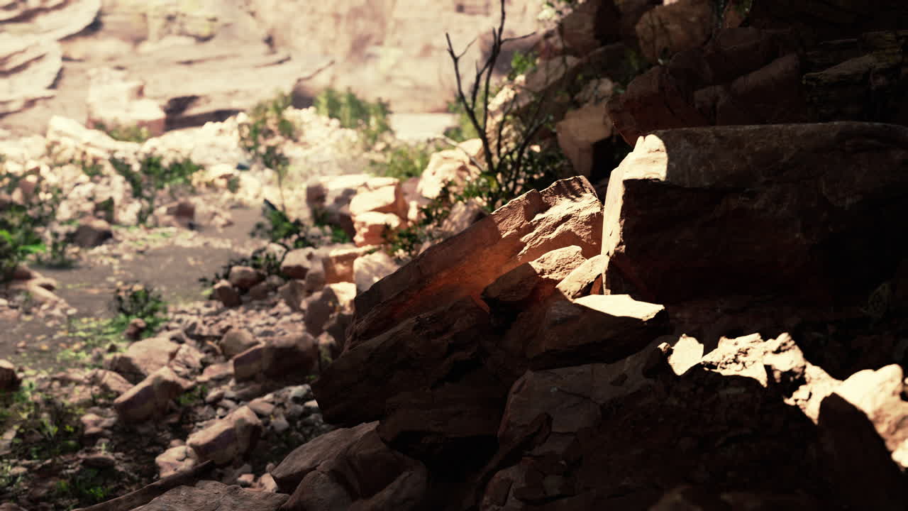 vista desde la cueva a la luz
