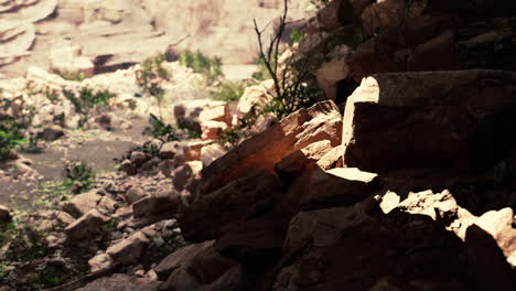 vista desde la cueva a la luz