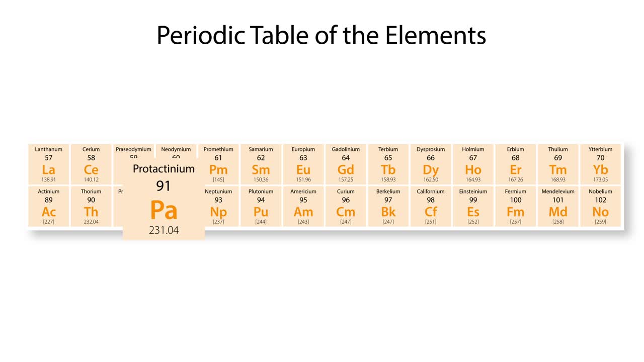 프로타크티의 성질에 대한 애니메이션 탐구