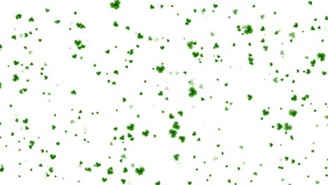saint patricks day design with clover leaf grass leaves ireland spring on green background irish
