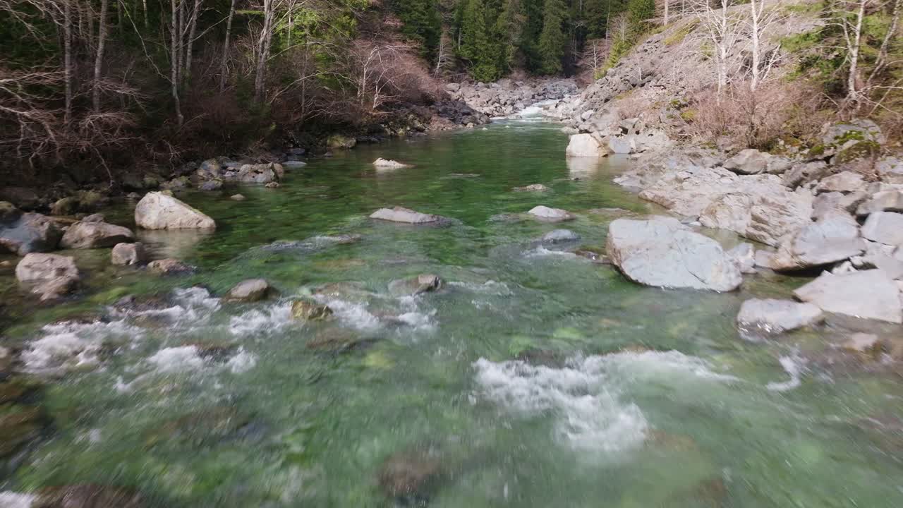 En blågrøn flod i skovene i British Columbia, Canada