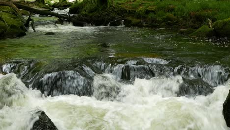 rapids on the river fowey at golitha falls nature reserve