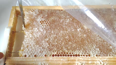 Honigrahmen-Auf-Dem-Bild