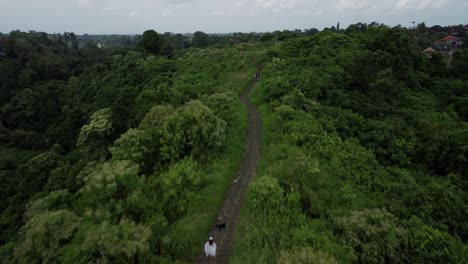 Volando-Sobre-Campuhan-Ridge-Walk-Ubud-Bali,-Antena