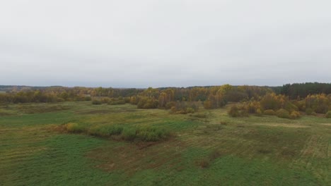 Flug-Vorwärts-über-Wiesen-Richtung-Bunter-Wald-Bewölkter-Herbsttag