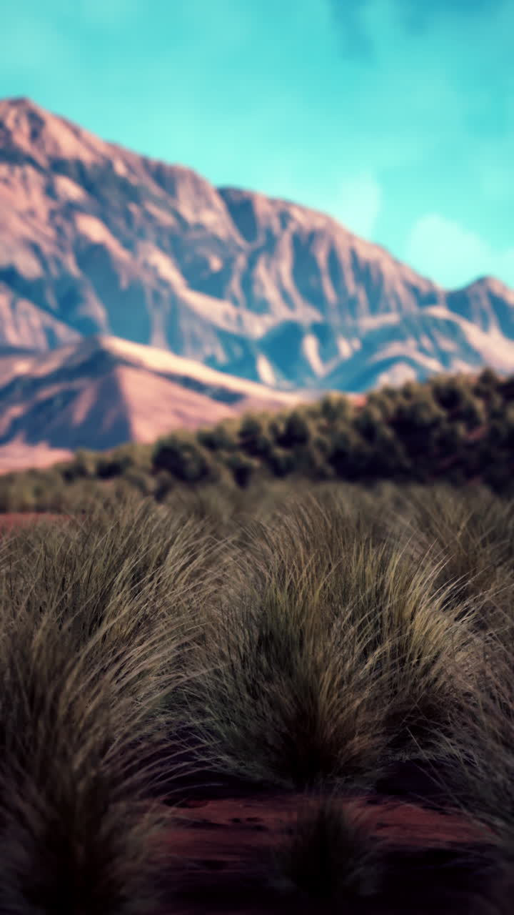 배경 에 산 들 이 있는 잔디  의 전망