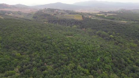 Cielo-Nublado-Sobre-Olivar,-Toscana-Italia