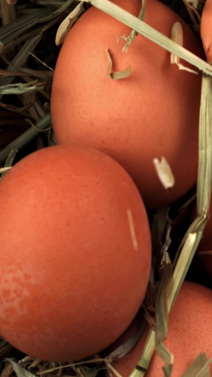Close-up Telur Cokelat Segar di Sarang Jerami