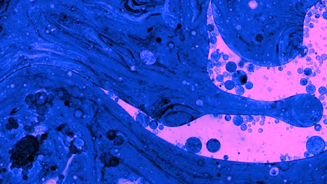 colorful oil drops floating on water surface, top view. fantastic abstract background. bright bubbles moving and spreading. close up 4k video of weird liquid structures. scientific chemical experiment