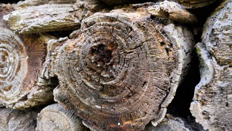 close up of pile chopped wood