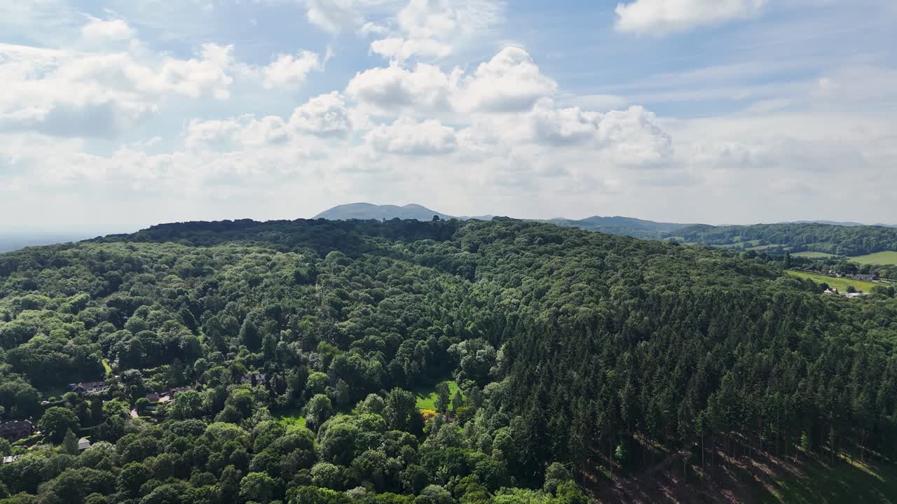 Drone flight, starting on top down view of tree canopy. pulling out and tilting up to reveal bright summer sky with flight forward