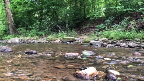 Fließender-Fluss-Durch-Einen-Dichten-Wald