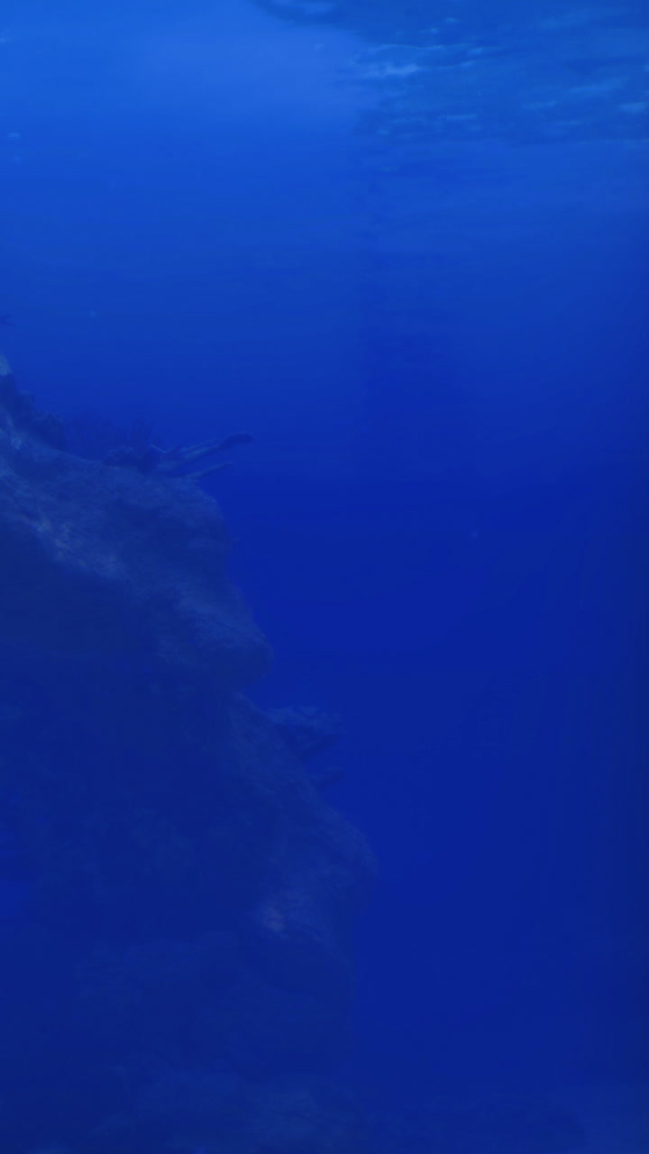 Kedalaman samudra yang misterius menyingkap kehidupan laut yang semarak di saat senja