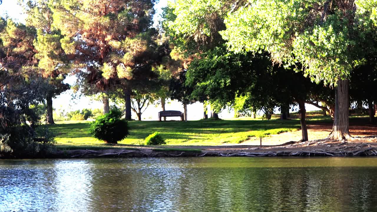 플로이드 램브 주립 공원 에서 호수 를 따라 개 들 이 산책 한다