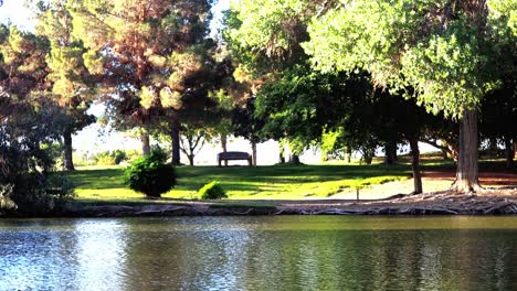 paseo de perros a lo largo del lago en el parque estatal floyd lamb