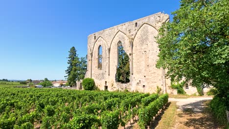 vineyard with historic ruins under clear sky