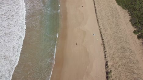 Vista-De-Pájaro-En-La-Cima-De-Una-Playa-Natural-Ubicada-En-Las-Playas-Del-Norte-De-Sydney