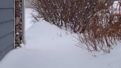 Snow-falls-on-a-front-walk-making-the-path-deep-in-powdery-cold