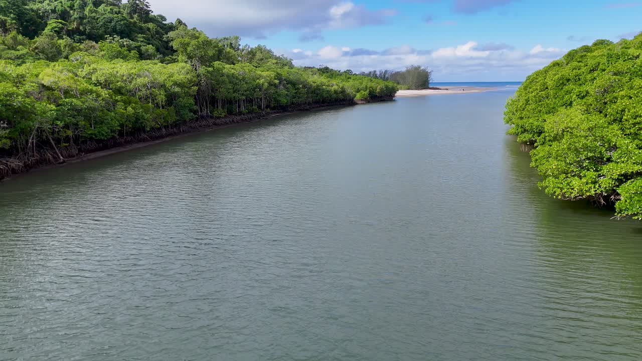 Aerial view of lush mangroves along a serene river, showcasing vibrant greenery and tranquil waters under clear skies