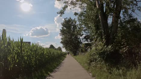 Saludable-Viaje-En-Bicicleta-Siguiendo-A-Una-Mujer-Con-Su-Hijo-En-El-Asiento-Trasero-En-Un-Soleado-Y-Cálido-Día-De-Verano