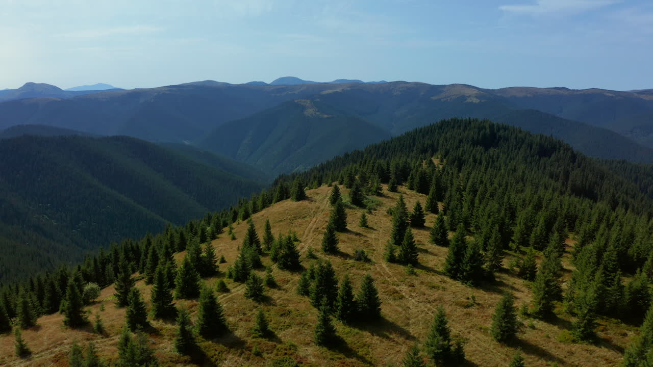 Aerial view of sunny hills with trees against a cloudless sky