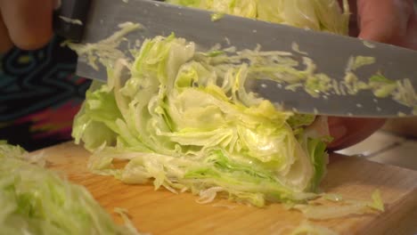 lateral view of a lettuce shredded on a cutting board