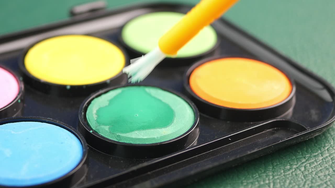 Watercolor Paint Palette Close-up