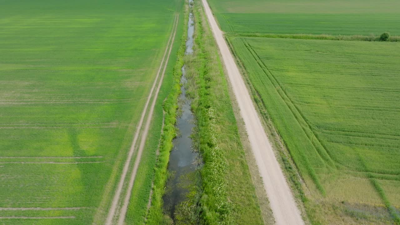 성숙하는 곡물  ⁇ , 유기농업, 시골 풍경, 지속 가능한 관리를 위한 식품 및 바이오매스 생산,  ⁇ 은 여름 날, 넓은 드론 촬영