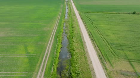 Luftaufnahme-Eines-Reifenden-Getreidefeldes-Aus-Der-Vogelperspektive,-ökologischer-Landbau,-Ländliche-Landschaft,-Produktion-Von-Nahrungsmitteln-Und-Biomasse-Für-Eine-Nachhaltige-Bewirtschaftung,-Sonniger-Sommertag,-Breite-Drohnenaufnahme,-Die-Sich-Vorwärts-Bewegt