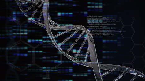 animación de la hélice de adn que gira sobre gráficos de barras iluminados y lenguaje de programación