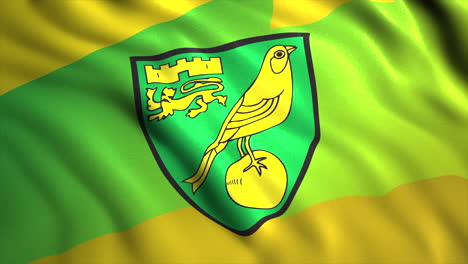 flag of cardiff