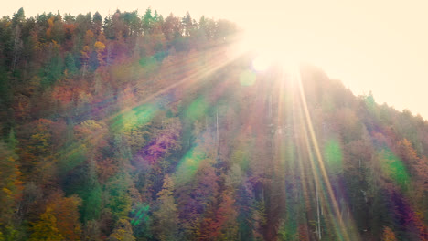 aerial, colorful autumn leaves on a mountain hill