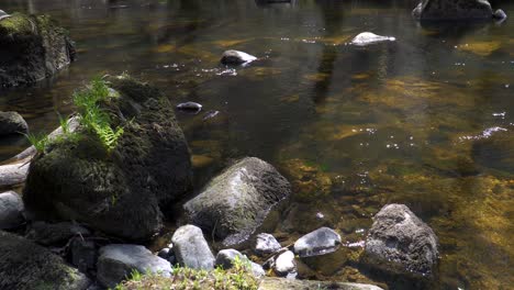 Fresh-water-flowing-down-the-river-teign-in-Dartmoor-national-park