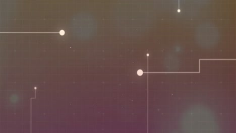 animatie van een netwerk van verbindingen via een digitaal scherm