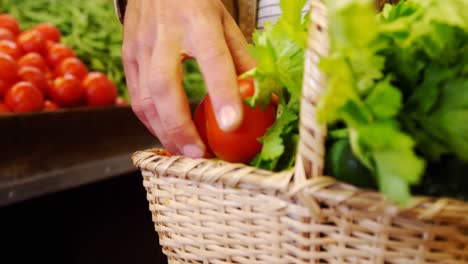 man putting tomatoes in basket