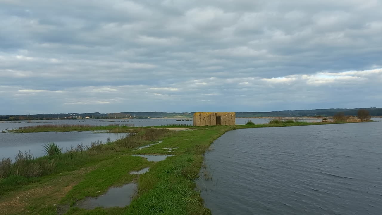 Risaie nel Basso Mondego, allagate dall'acqua.