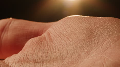 Close-up of a hand's palm