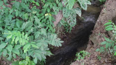 water running down a stream