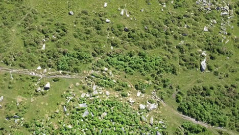 Wide-shot-aerial-tracking-forward-over-a-rocky-outcrop-surrounded-by-bracken-and-grassy-moorland,-Dartmoor,-England