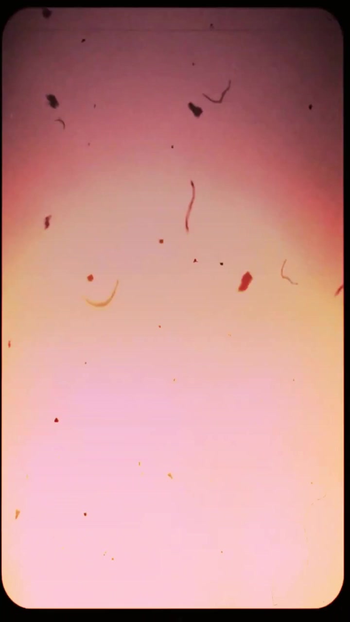 Vintage Film Overlay with Dust, Scratches, and Light Leaks