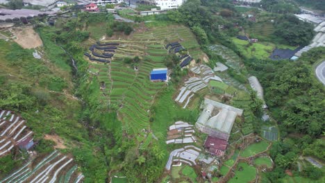 general landscape view of the brinchang district within the cameron highlands area of malaysia