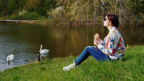 a young woman is resting in a park near the lake, eating a hot dog. a dog plays nearby, swans swim on the lake. a beautiful spring day and a light snack on the go