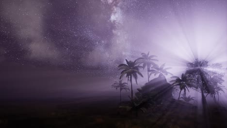 la galaxia de la vía láctea sobre la selva tropical.