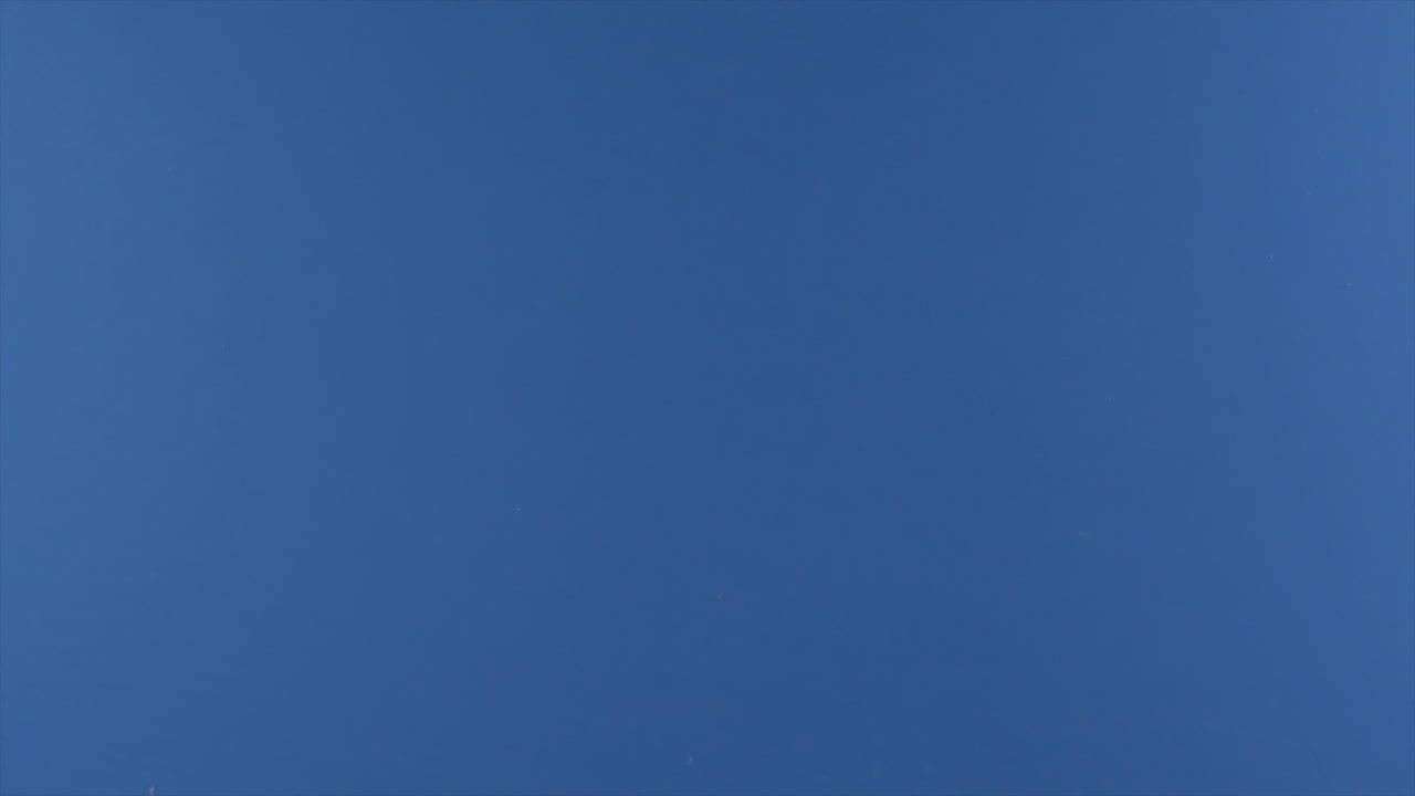 se ve un rollo de papel higiénico volando a cámara lenta sobre un fondo azul