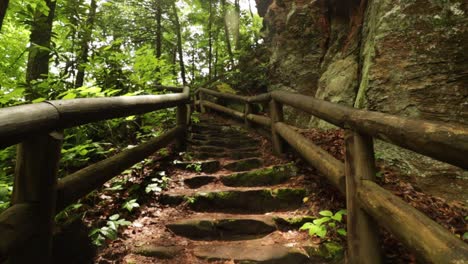nature hike at natural bridge state park, kentucky