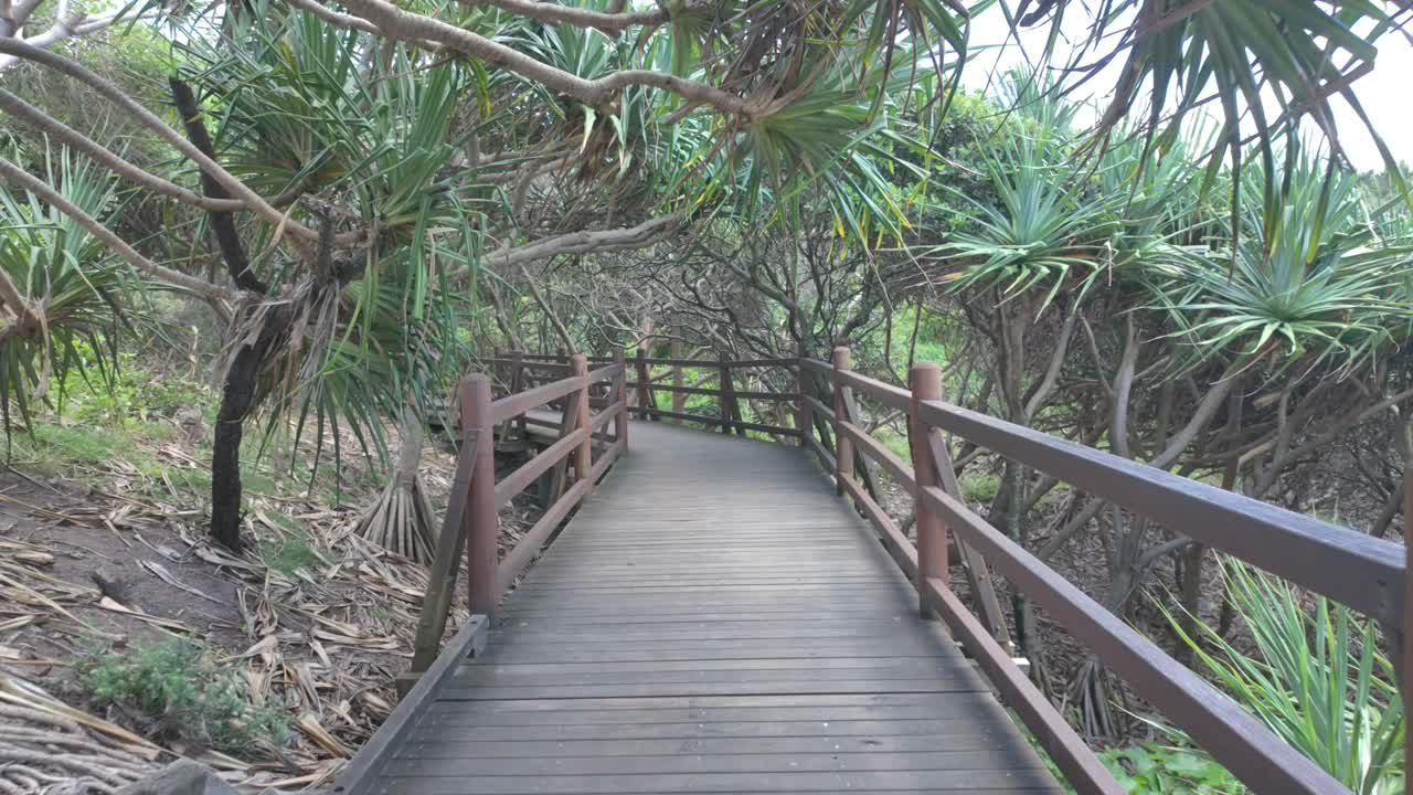 4K video of a wooden walking path near the beach in Australia